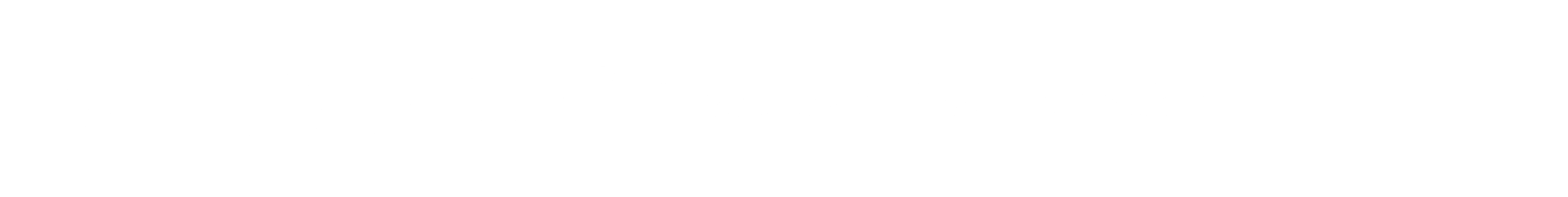 Baucor Logo Portuguese