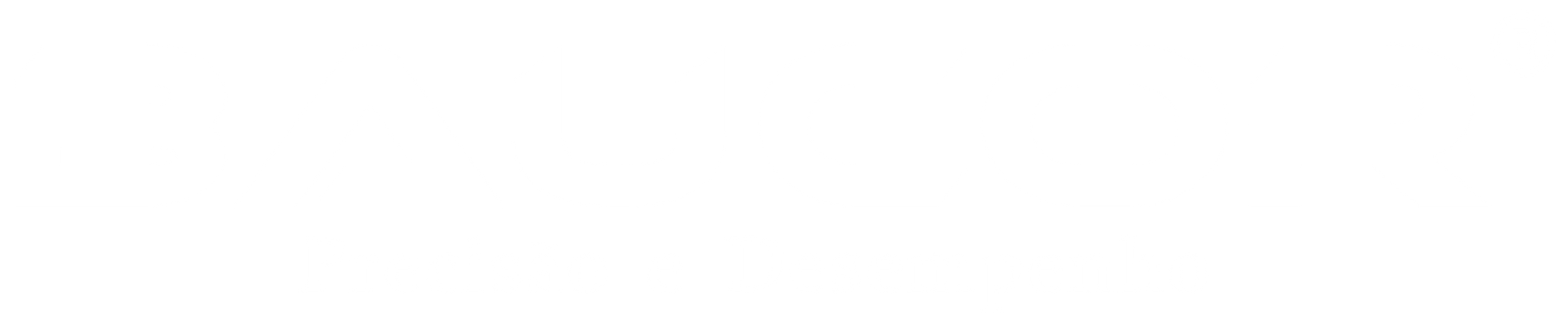 Baucor Logo Portuguese